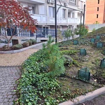 Софіївська вул., 15