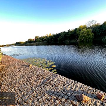 Плютовська вул.