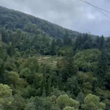 Миколи Устияновича вул.