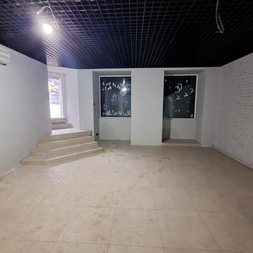 Григорія Сковороди вул. (Пушкінська), 65/1