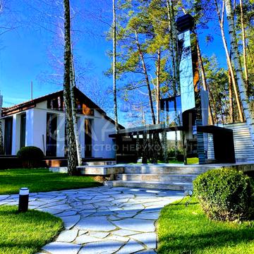 центральна