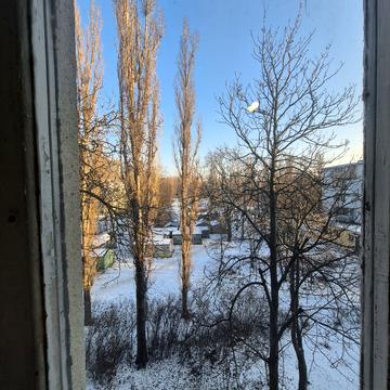 Євгена Танцюри вул., 38