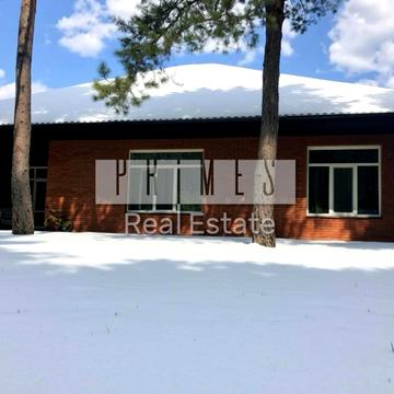 Лісова вул.