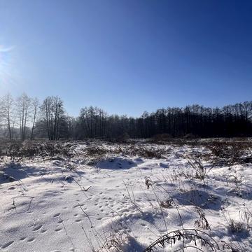 Ходосівка, Обухівський, Київська область 5500.0 USD