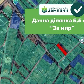 Романа Левицького вул.