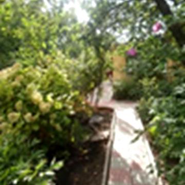 Дванадцята, 111