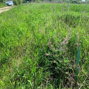 Дубляни, Львівський, Львівська область 8500.0 USD