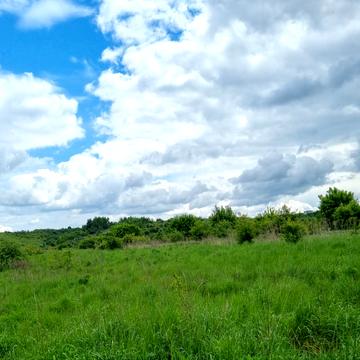 Сокільники, Львівський, Львівська область 1750000.0 USD