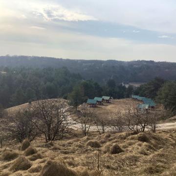 Велика Воля, Стрийський, Львівська область 7500.0 USD