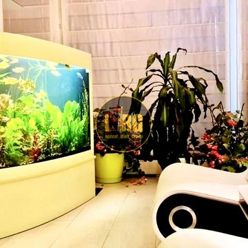 Левандовська вул. (Аніщенка), 5