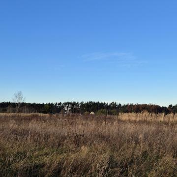 Наталі Ужвій