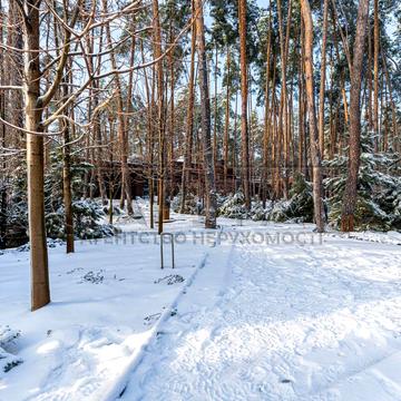 Центральна вул.