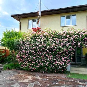 западинська, 1