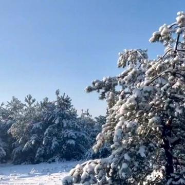 Феневичі, Вишгородський, Київська область 10000.0 USD