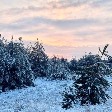 Мостище, Фастівський, Київська область 100000.0 USD