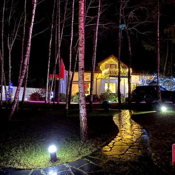 Центральна