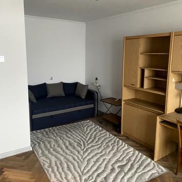 Петра Панча вул., 26