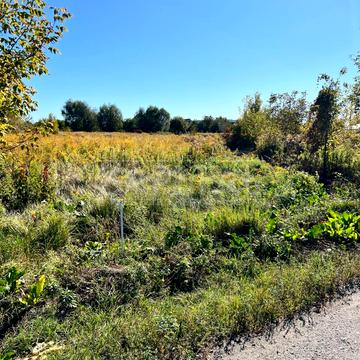 Озерна вул.