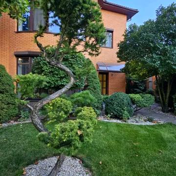 Динамо вул.