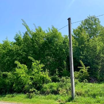 Гута, Ужгородський, Закарпатська область 10000.0 USD