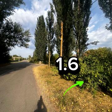 Центральна