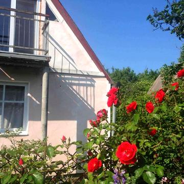 Шкільна вул.