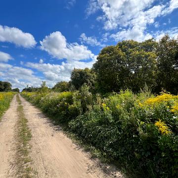 Сокільники, Львівський, Львівська область 5000.0 USD