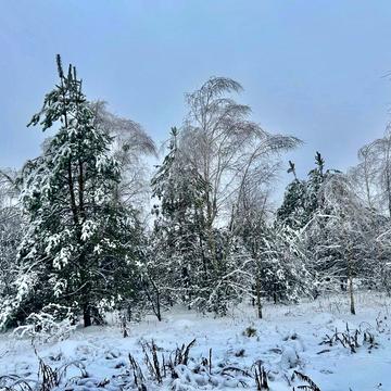 Фасівочка, Бучанський, Київська область 91800.0 USD