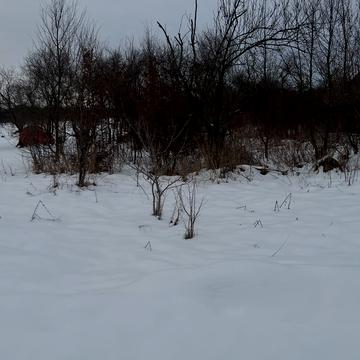 Павла Грабовського вул.