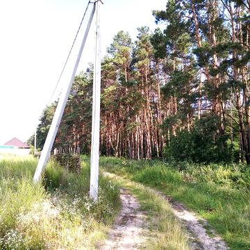 Івана Кудрі