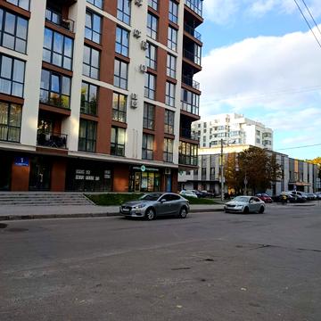 Леоніда Перфецького вул., 1