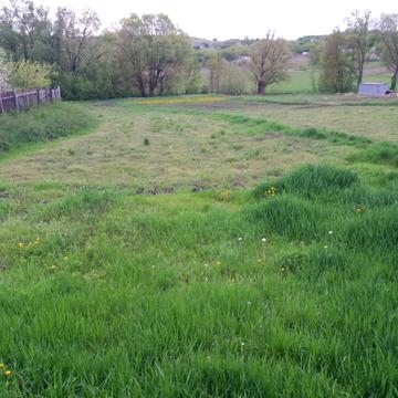 провулок Шевченка