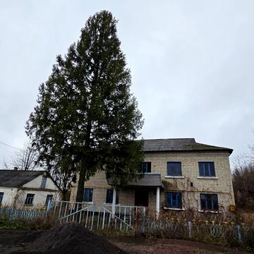 Тараса Шевченка вул., 42