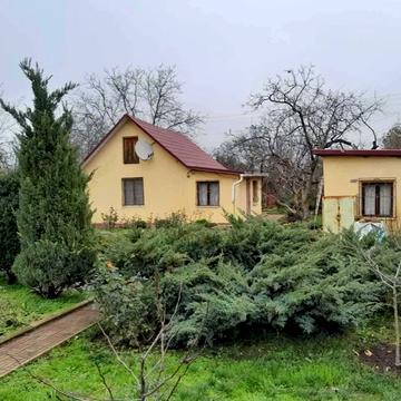 Дванадцята, 111