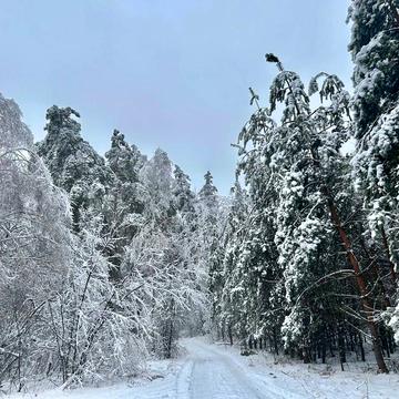 Копилів, Бучанський, Київська область 180000.0 USD