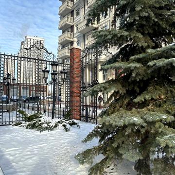 Михайла Максимовича вул. (Онуфрія Трутенка), 24-Г