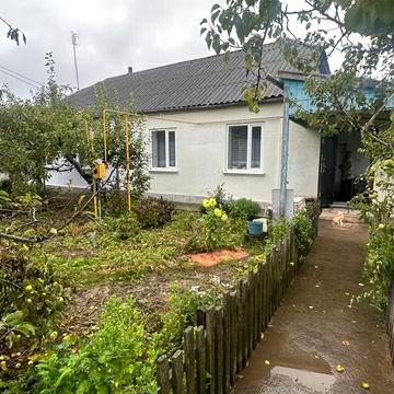 Лесі України