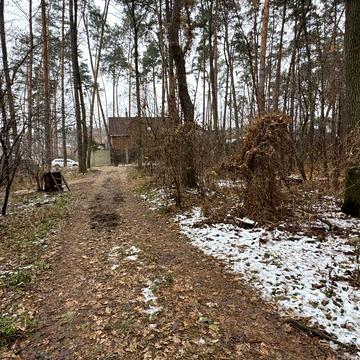 Льва Толстого