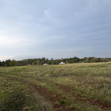 Пров Парковий