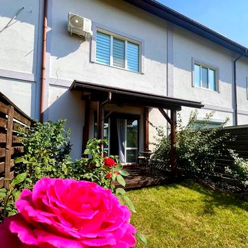 Зелений гай