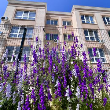 Шкільна вул., 10