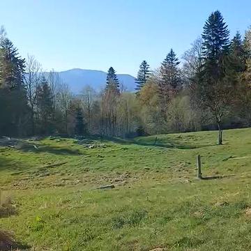 Лазещина, Рахівський, Закарпатська область 130000.0 USD