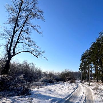 Береговий пров.