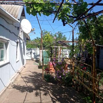 Центральная