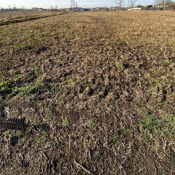 Березівка, Івано-Франківський, Івано-Франківська область 33000.0 USD