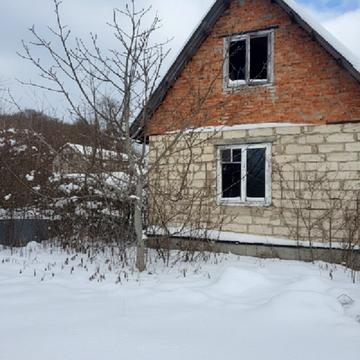 Виноградна