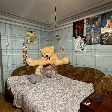 Гетьмана Мазепи вул., 66