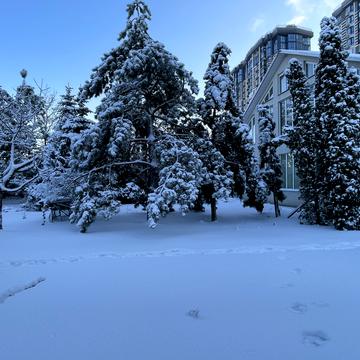 Лесі Українки вул.