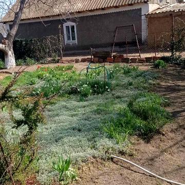 Овідіопольська дорога