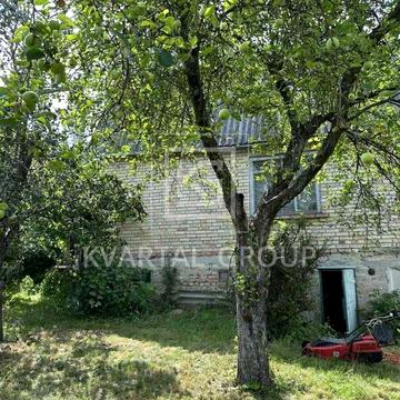 Виноградна